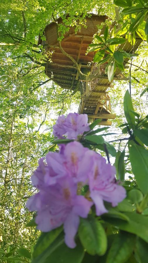 Le Domaine De Wail - Legends Resort Ruang foto